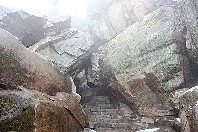 《幻兽帕鲁》爆火后 发行商已在国内注册多个商标